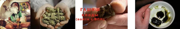 сатива Баксан