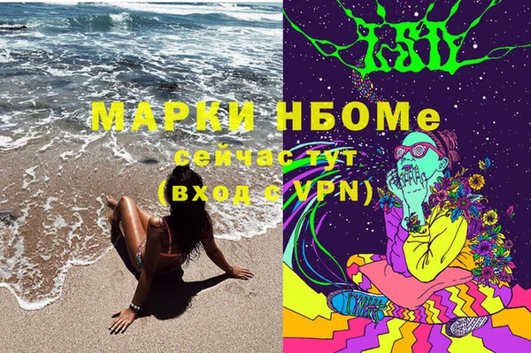 сатива Баксан
