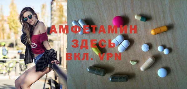 сатива Баксан
