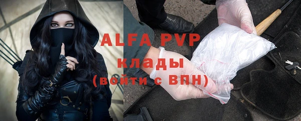 сатива Баксан