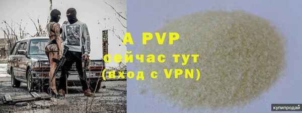 сатива Баксан