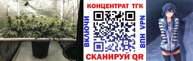 ТГК THC oil  цены   Кирсанов 