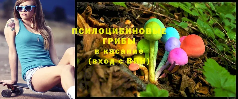 Галлюциногенные грибы Cubensis  Кирсанов 