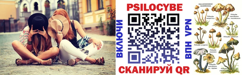 omg ТОР  Кирсанов  Псилоцибиновые грибы Magic Shrooms  купить наркотики сайты 