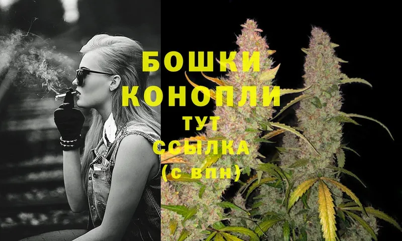 Бошки Шишки Ganja  купить  цена  мега вход  Кирсанов 